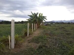 5,307 sq. meters farm lot for sale or long term lease