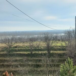 Land with a view of the Danube-Belegis